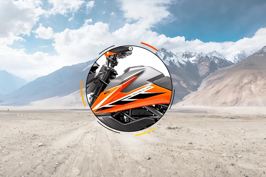 KTM 250 Adventure Engine